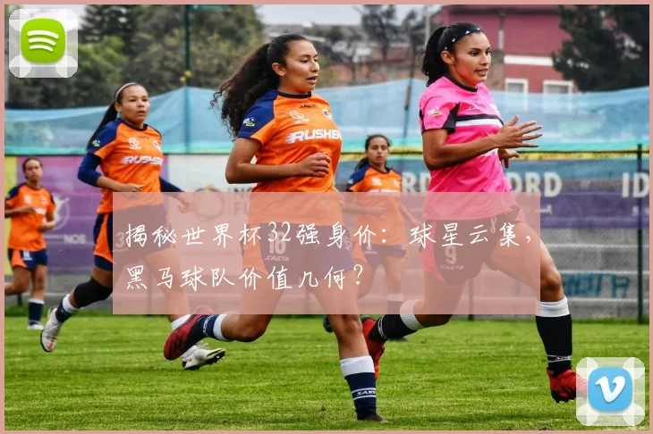 揭秘世界杯32强身价：球星云集，黑马球队价值几何？