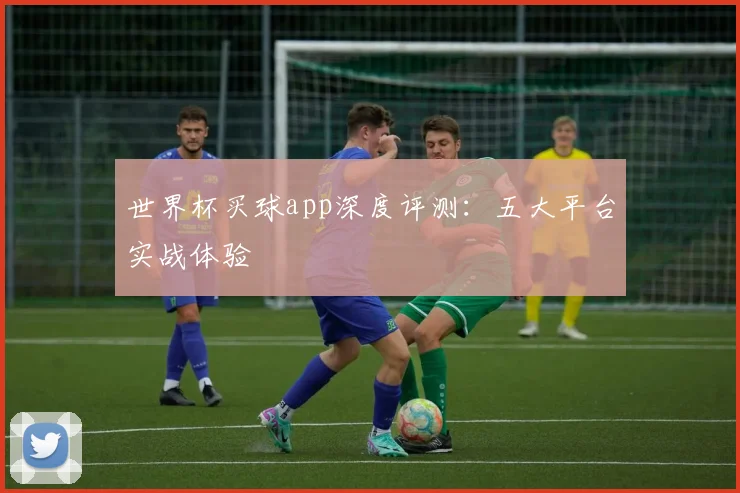 世界杯买球app深度评测：五大平台实战体验