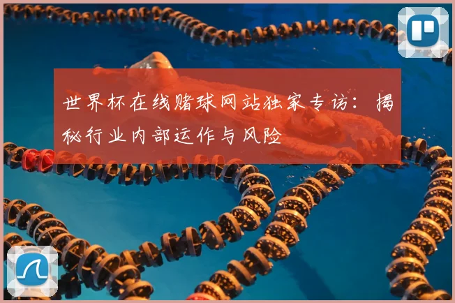世界杯在线赌球网站独家专访:揭秘行业内部运作与风险