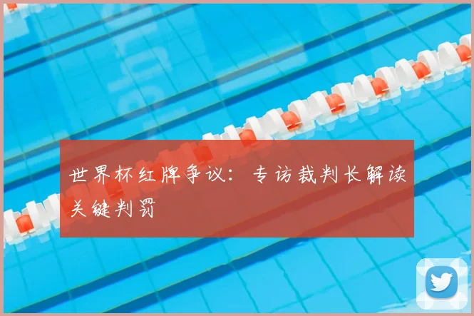 世界杯红牌争议：专访裁判长解读关键判罚