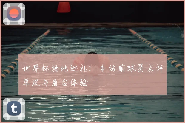 世界杯场地巡礼：专访前球员点评草皮与看台体验