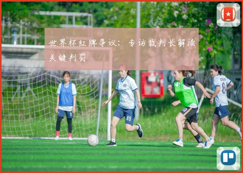 世界杯红牌争议：专访裁判长解读关键判罚